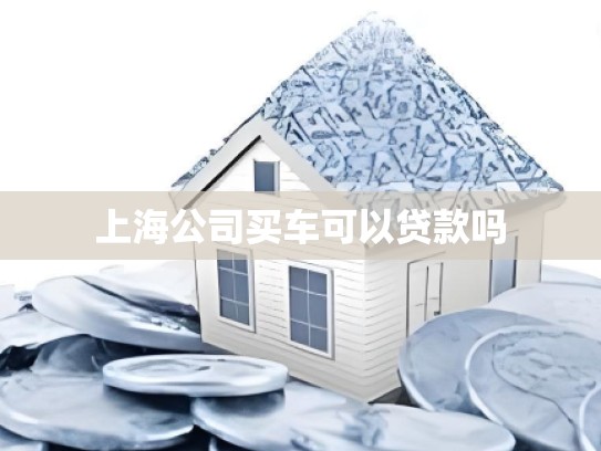 上海公司买车可以贷款吗