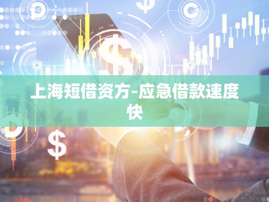 上海短借资方-应急借款速度快 上海短借资方-应急借款速度快