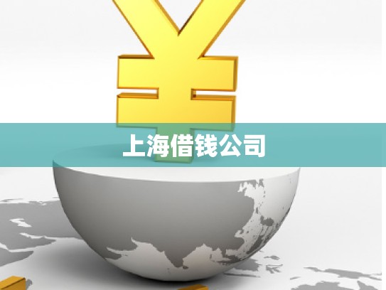 上海借钱公司