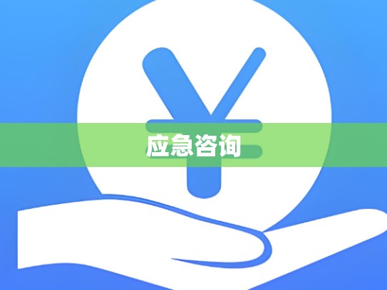 应急咨询