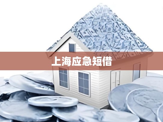 上海应急短借