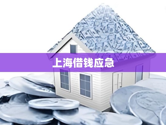 上海借钱应急