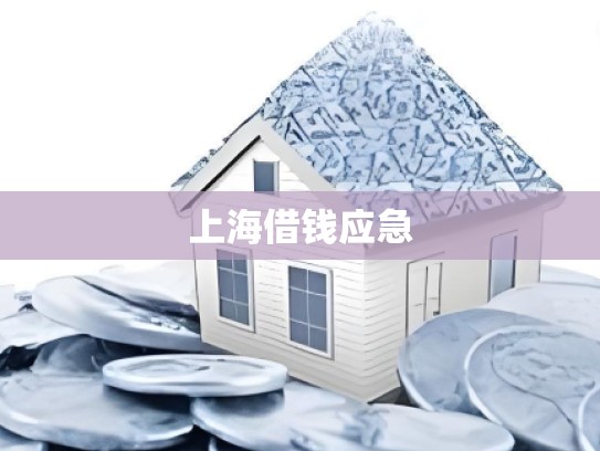 上海借钱应急