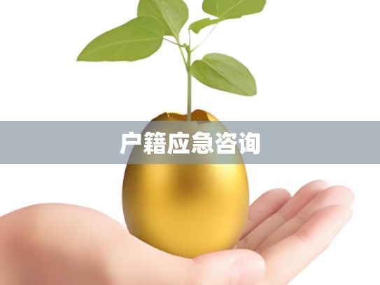 户籍应急咨询