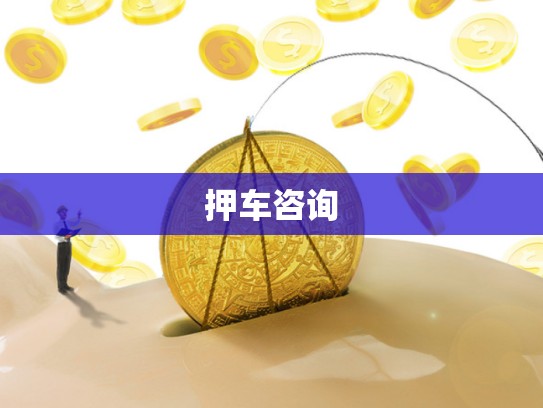 押车咨询