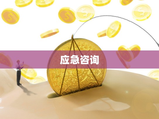 应急咨询