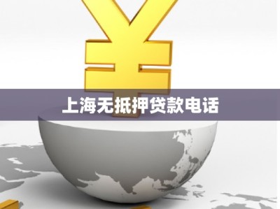 上海无抵押贷款电话