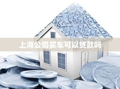 上海公司买车可以贷款吗